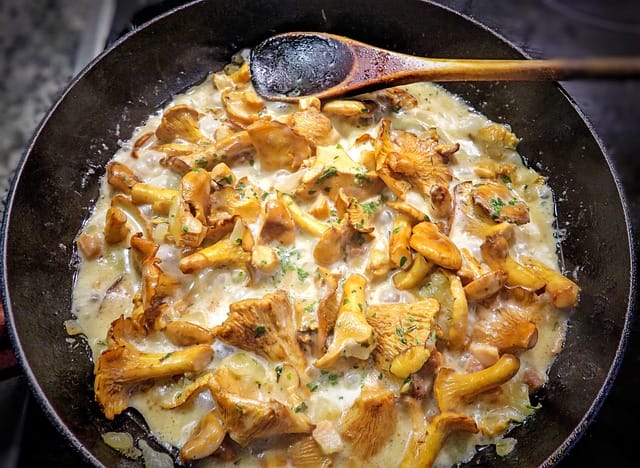 La chanterelle champignon comestible, peut-être cuisinée en sauce avec du beurre, de l'échalotte et du persil