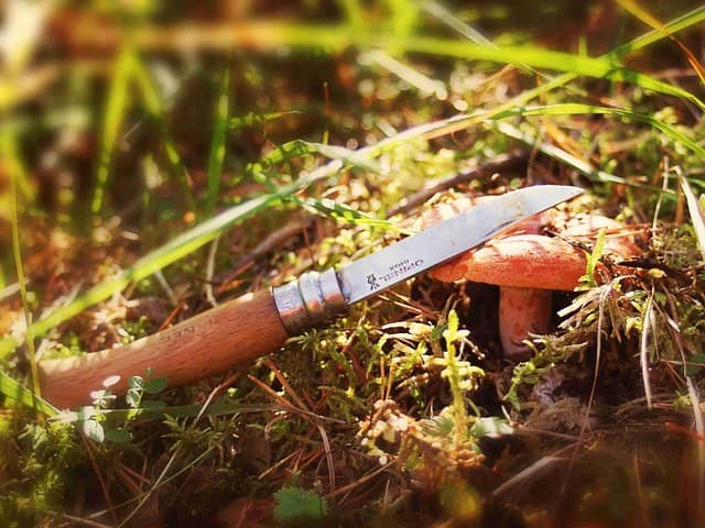Un couteau fait partie du matériel pour la cueillette de champignons